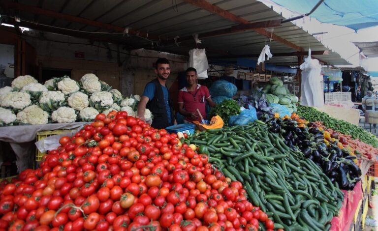 قائمة أسعار الدجاج والخضروات في غزة اليوم الأحد 2023/10/1